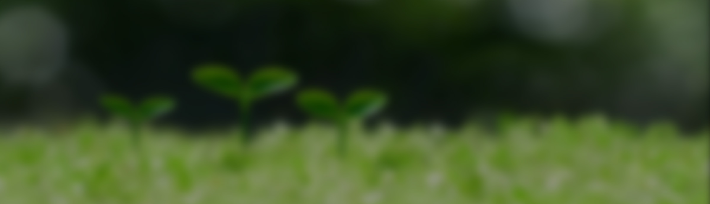 地球環境への取組み効率的な経済活動と環境保全の両立